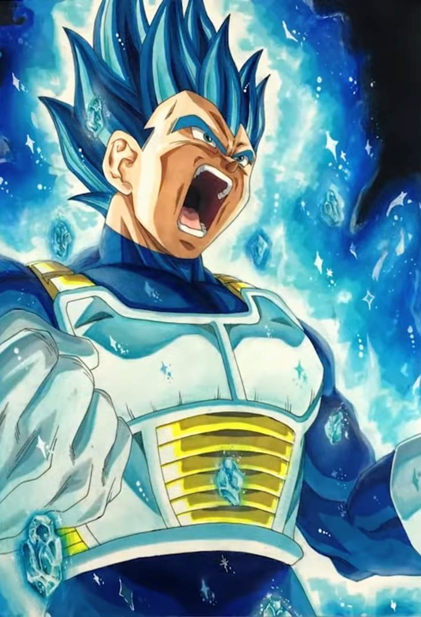 Vegeta Super Saiyan Blue by Syarif Kuroakai