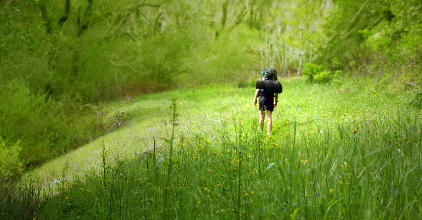 Pejalan kaki, kesenangan, lainnya, alam, rumput, manusia Wallpaper HD