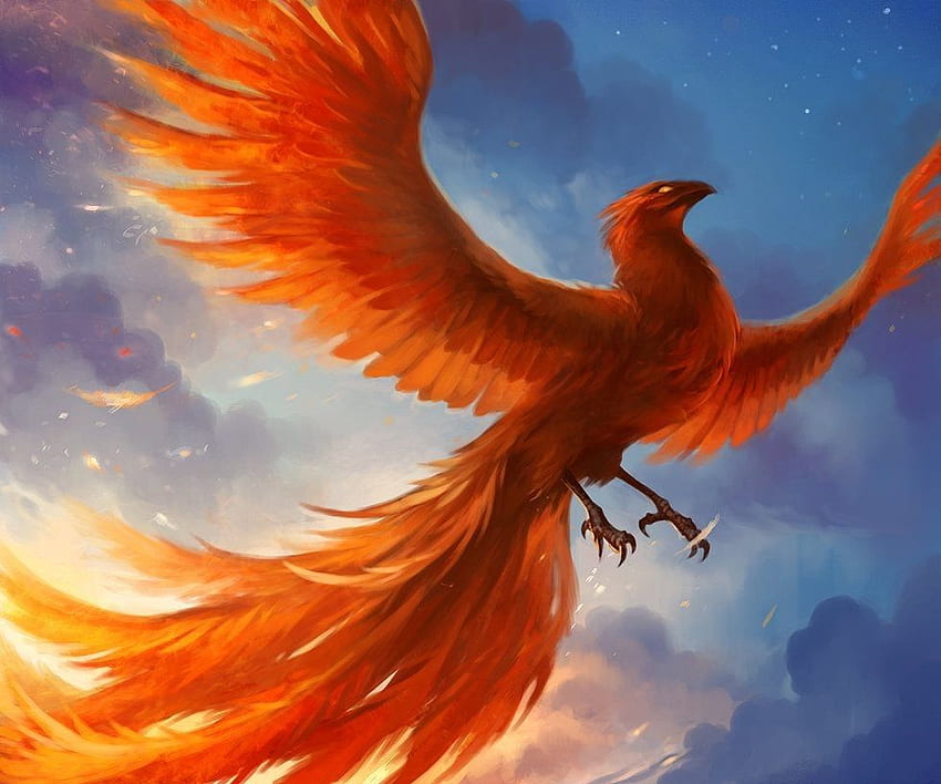 Fenix Bird Elegant Mythical Creatures Greek - Real Life Pokemon Moltres - & Background HD wallpaper