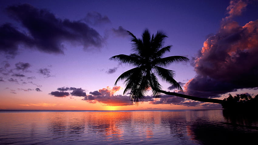 Moorea-French-Polynesia, , moorea, beautiful, french, polynesia HD wallpaper