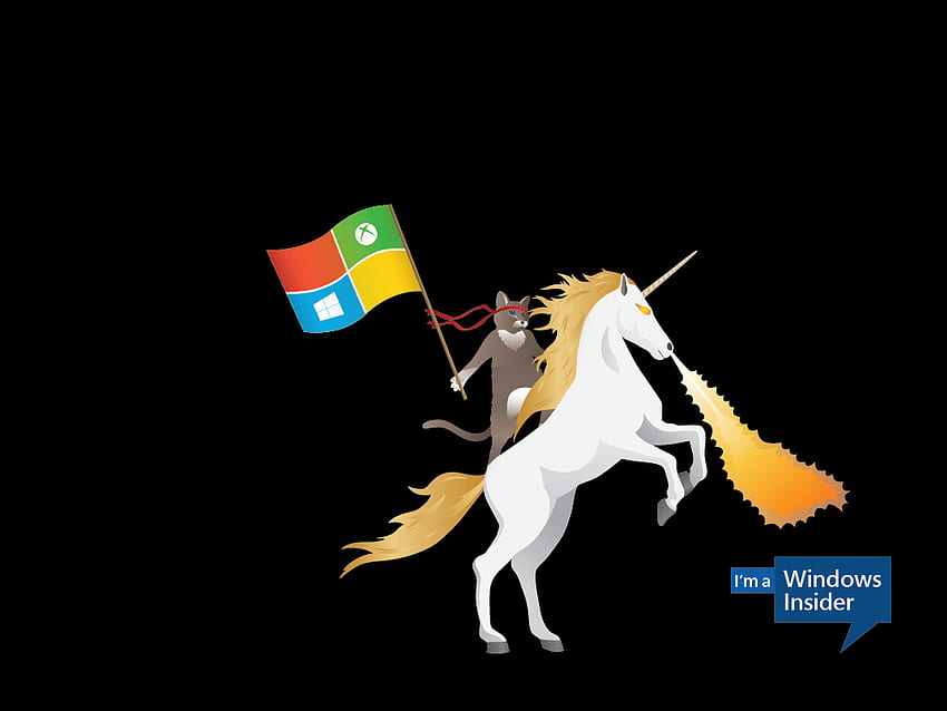 A Fun Surprise For Windows Insiders Windows Experience Blog Unicorn Cat Hd Wallpaper Pxfuel