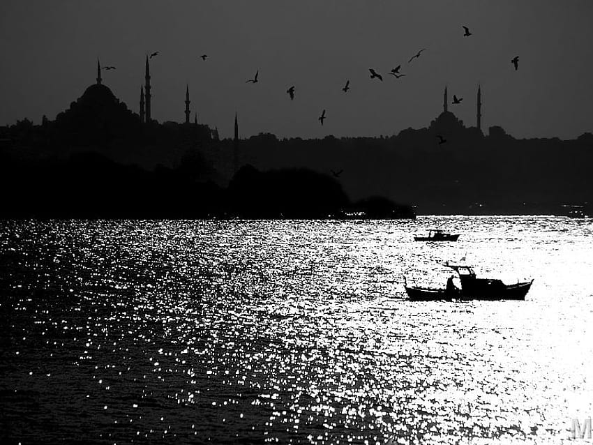 イスタンブールのシルエット、海、ボート、イスタンブール、モスク、自然、シルエット 高画質の壁紙