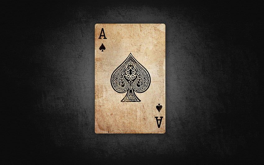 Kartu-kartu . Skeleton Playing Cards, Setumpuk Kartu Wallpaper HD