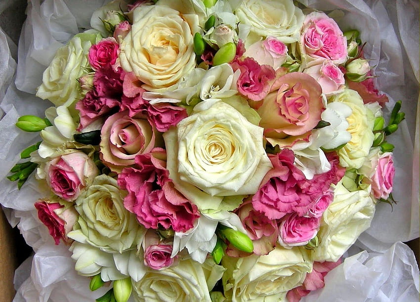 꽃, 장미, 등록, 타이포그래피, 부케, 핸섬하게, 아름답다 HD 월페이퍼