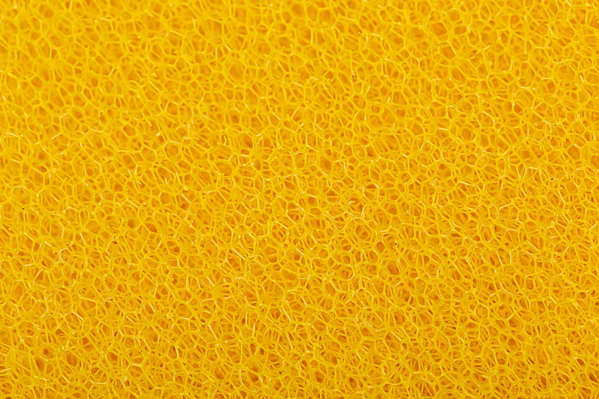 Texture, Textures, Sponge, Pores HD wallpaper