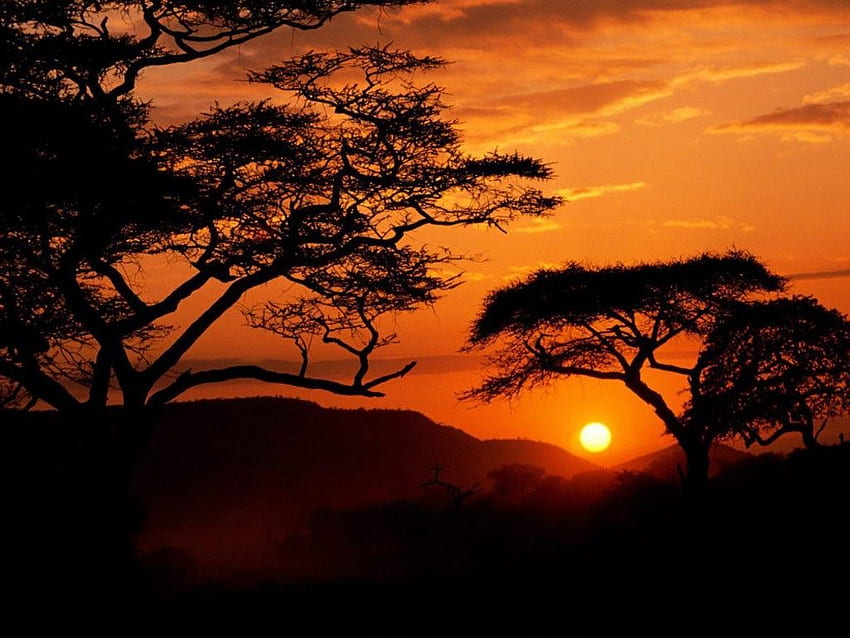 Africa For And Mobile, African Culture HD wallpaper