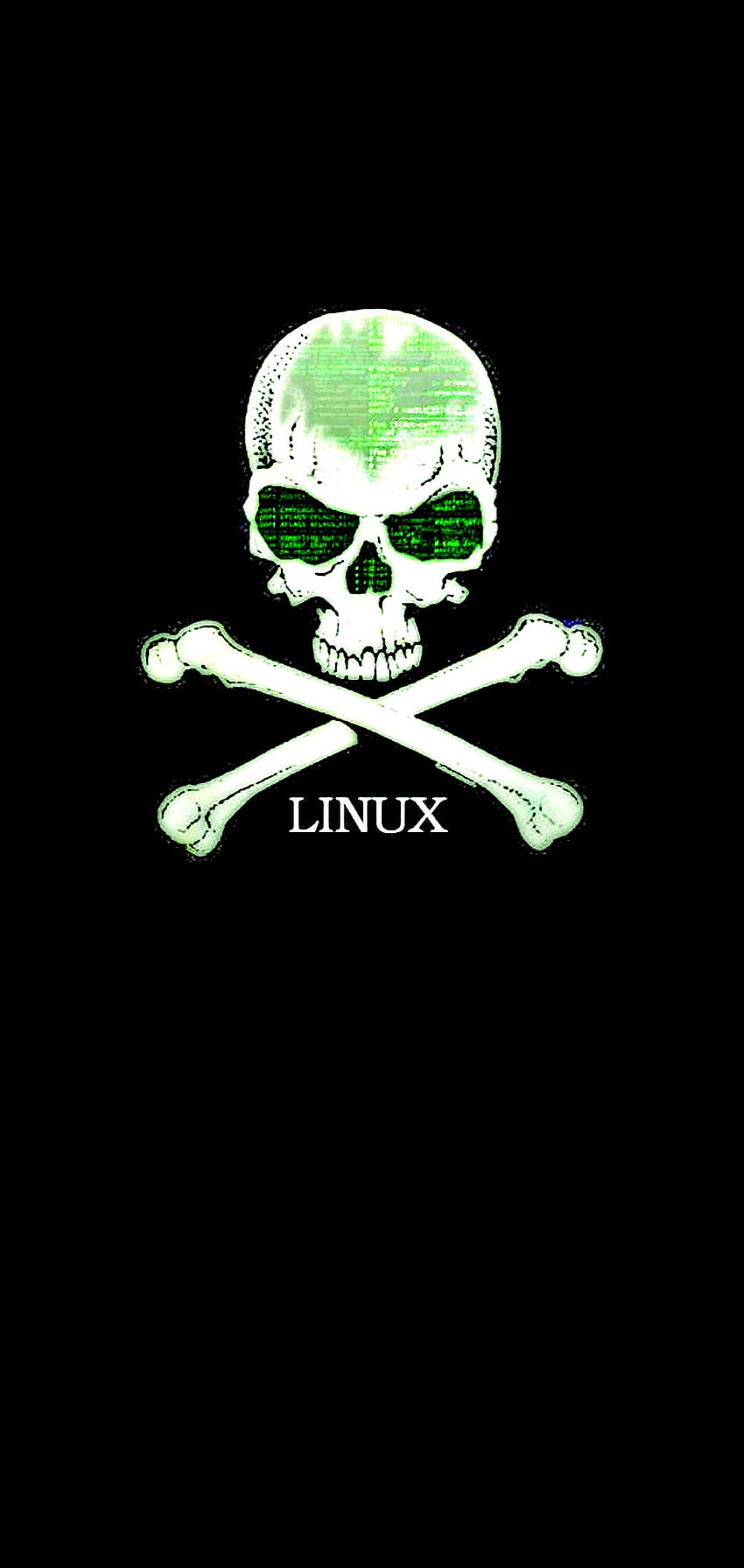 Skull & Bones, 스켈레톤, 해킹, 해커 HD 전화 배경 화면