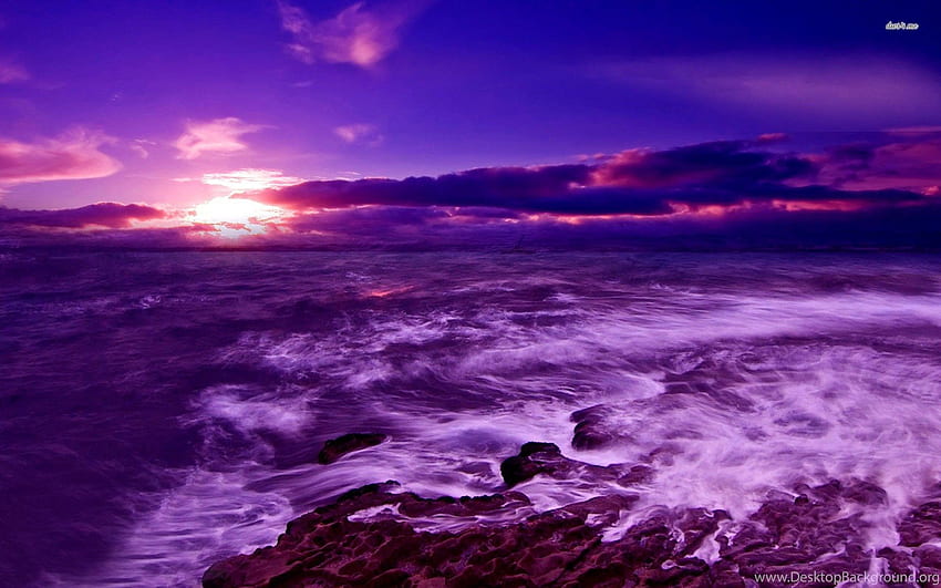 Purple Sea HD wallpaper