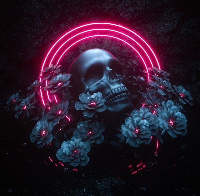 Neon Skull - , Neon Skull Background on Bat, Pink and Blue Skull HD wallpaper