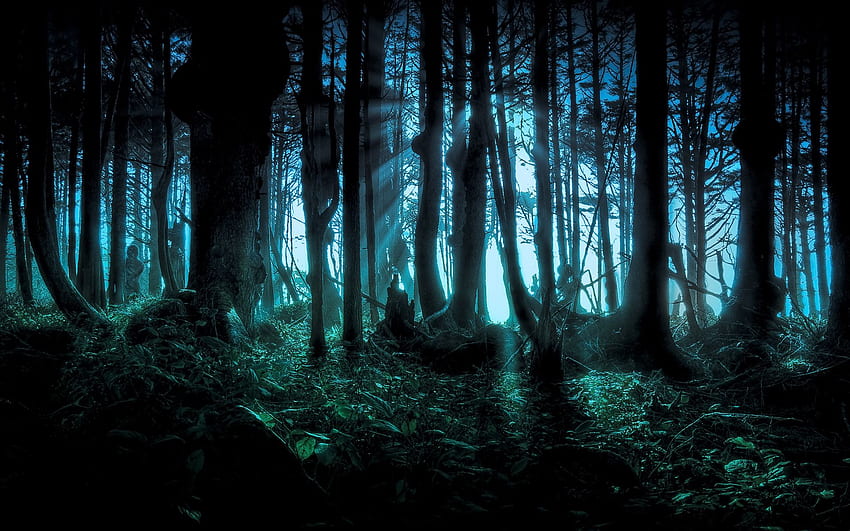 Forêt sombre et effrayante, décor de tueur de démons Fond d'écran HD