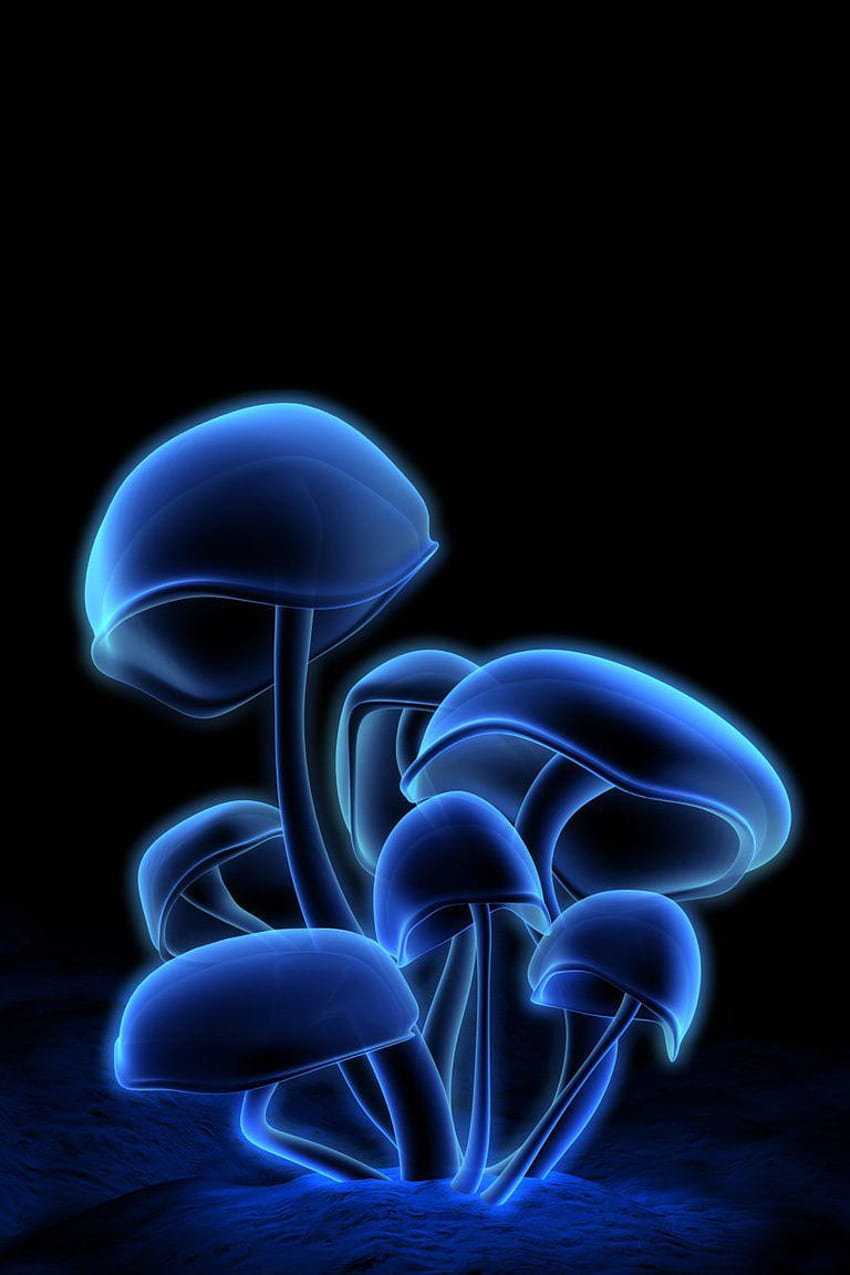 2019년 3D 푸른 형광 버섯 안드로이드 HD 전화 배경 화면