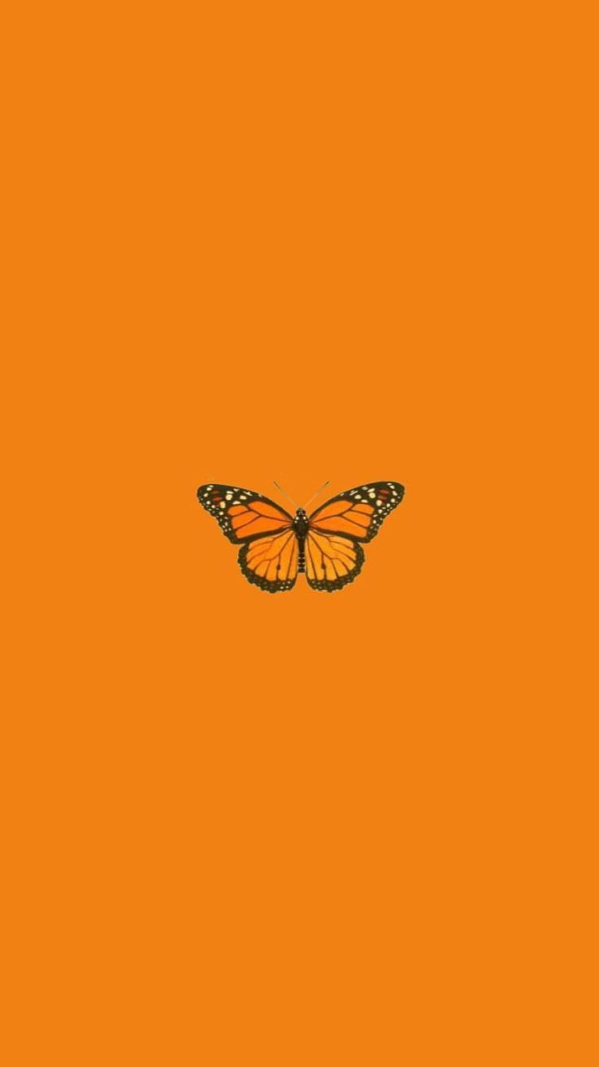 Esthétique Papillon Jaune - Novocom.top, Papillon Orange Fond d'écran de téléphone HD