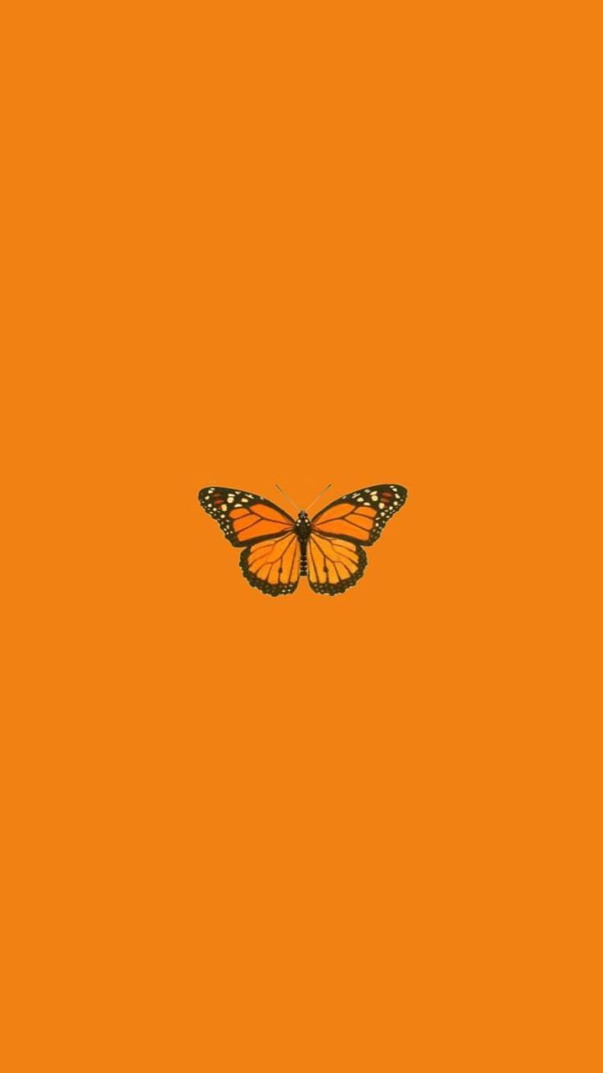 Butterfly Yellow, yellow butterfly aesthetic HD phone wallpaper | Pxfuel