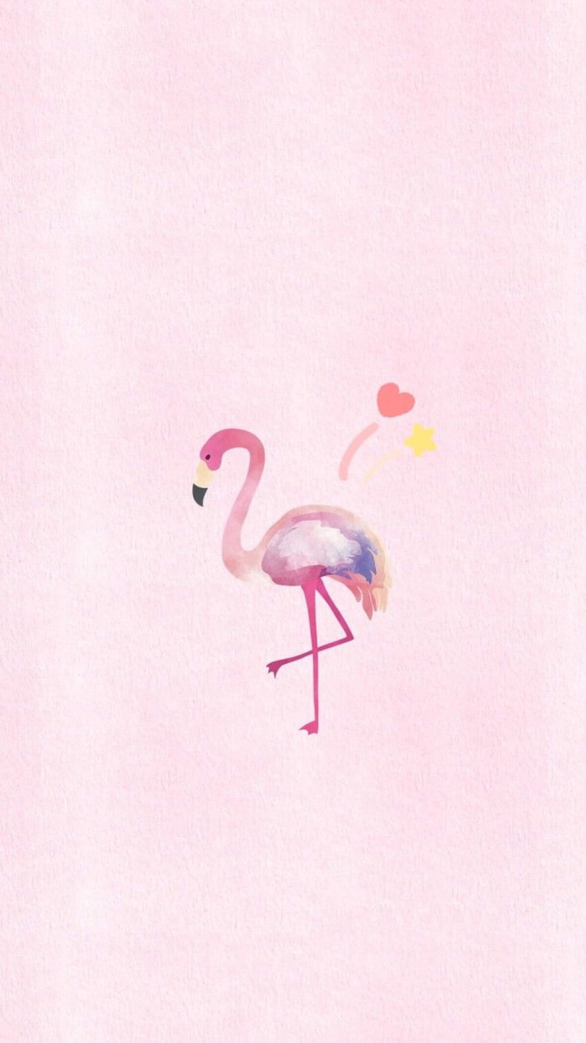 iDMe on ANIMALLs. Flamingo , iPhone background , Cute, Pastel Flamingo HD phone wallpaper