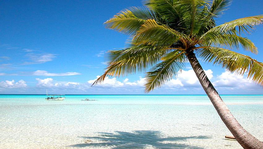 Tahiti Beach, tropic, palm, tropical, beach, holiday, season, boats, trees, water, vavation, sun, ocean, sunshine, palms, 바다, Tahiti, 파라다이스, 나무, 여름, SkyPhoenixX1, 구름, 자연, 하늘 HD 월페이퍼