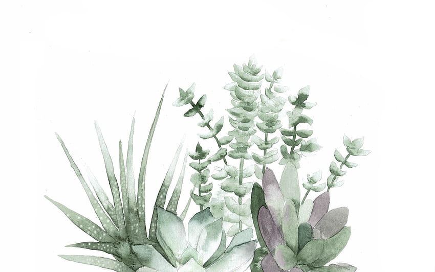 Succulents, Lezat Estetis Wallpaper HD