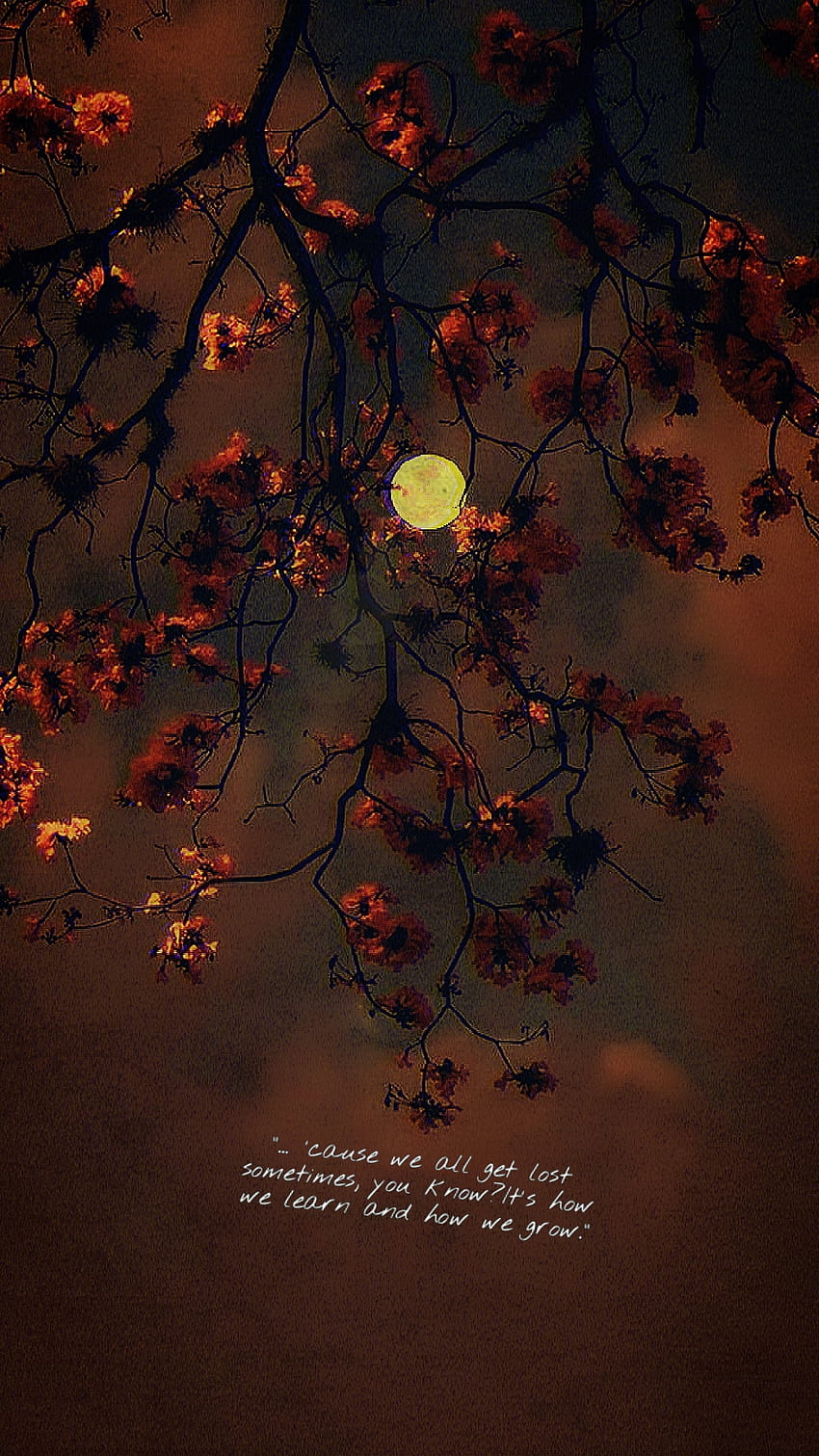 Jelena, sky, midnight, quote, mood, tree, depression HD phone wallpaper ...
