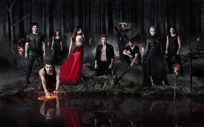 Damon Salvatore Vampire Diaries HD wallpaper