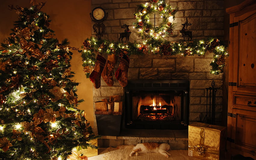Holidays, Trees, New Year, Interior, Fir-Trees, Christmas, Xmas HD wallpaper