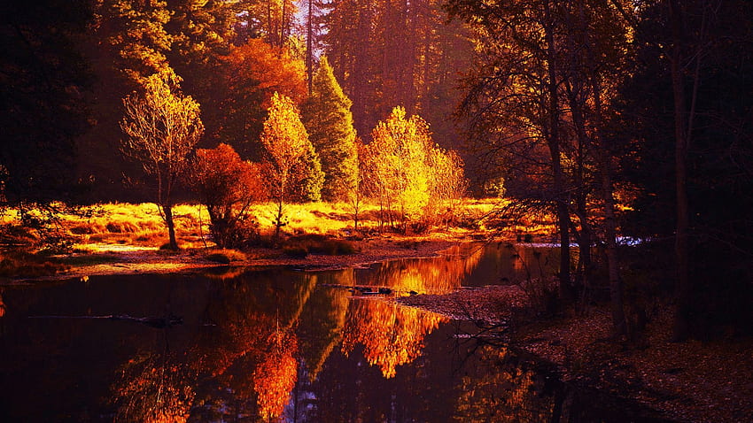 Fall scene along the Merced River in Yosemite Valley, leaves, autumn, colors, USA, trees, water, California, reflections HD wallpaper