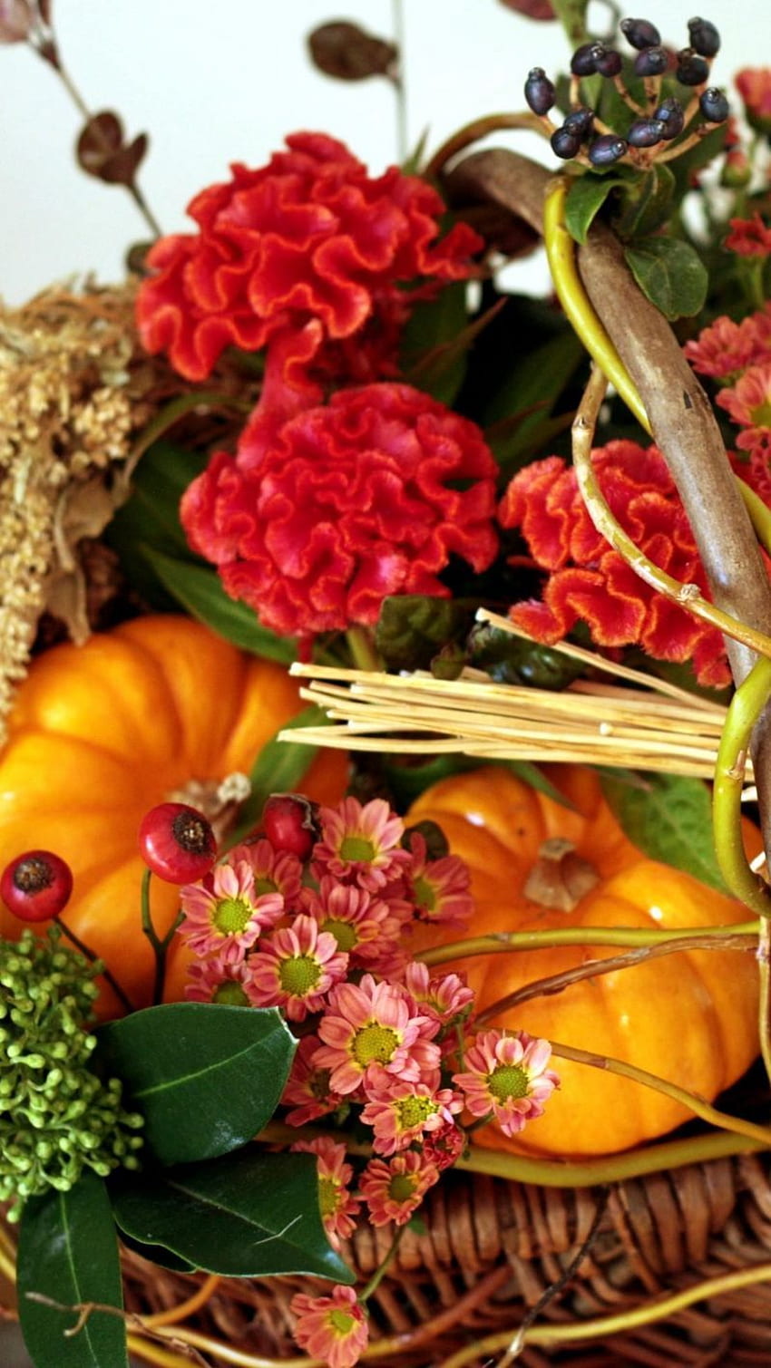 Amaranth, Flowers, Basket, Pumpkin, Berries, Composition Iphone Se 5s 5c 5 For Parallax Background, Pumpkins and Flowers HD phone wallpaper