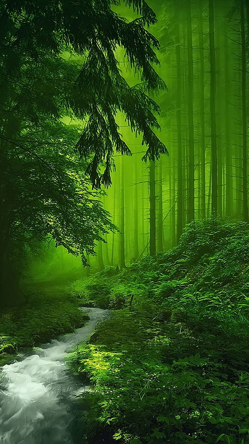 Бистра река в зелената гора - Фентъзи място. гори . Нату. Красиви пейзажи, Красива гора, Красива природа HD тапет за телефон
