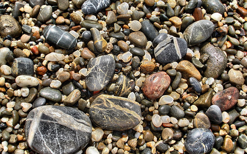 Stones, Macro, Shallow, Small, Large, Big, Variety, Diversity HD wallpaper