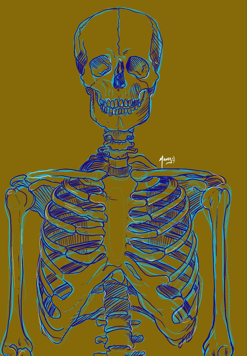 Skeleton . Black , Aesthetic iphone , , Human Skeleton HD phone wallpaper