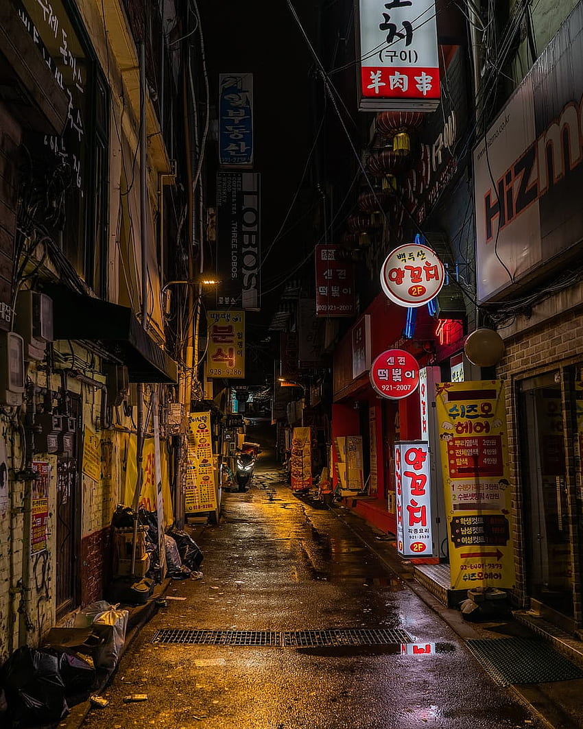 : street, korea, seoul, night, neon, city, light, communication HD phone wallpaper