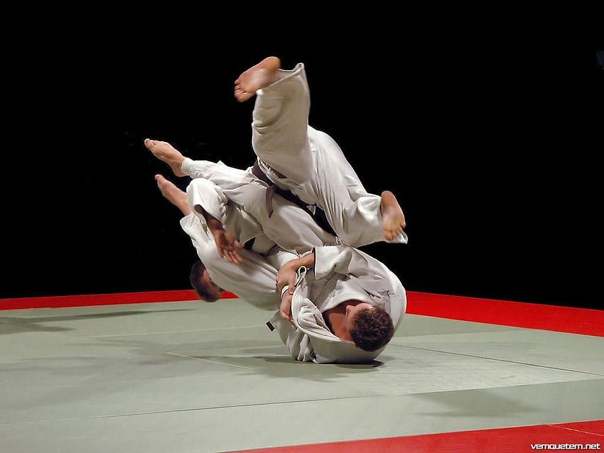 menampilkan jiu jitsu, Brazilian Jiu Jitsu Wallpaper HD
