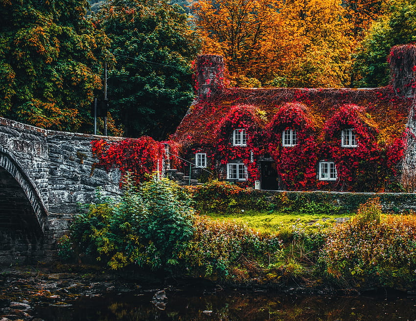 自然, 川, 秋, 小さな家, ロッジ, 紅葉, 秋の色, 秋の塗料 高画質の壁紙