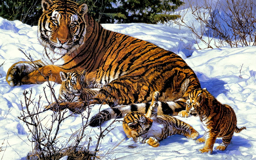 Animaux, Tigres Fond d'écran HD