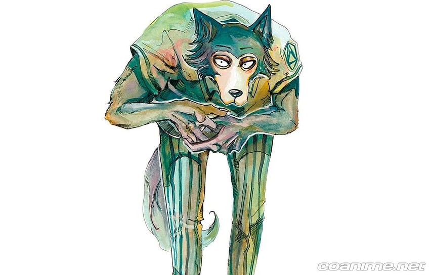 The 13 Best Anime Like Beastars (Recommendations 2020)