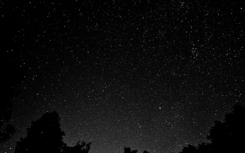 Starry Night Sky Star Galaxy Space White Black, Dark Sky Anime HD wallpaper