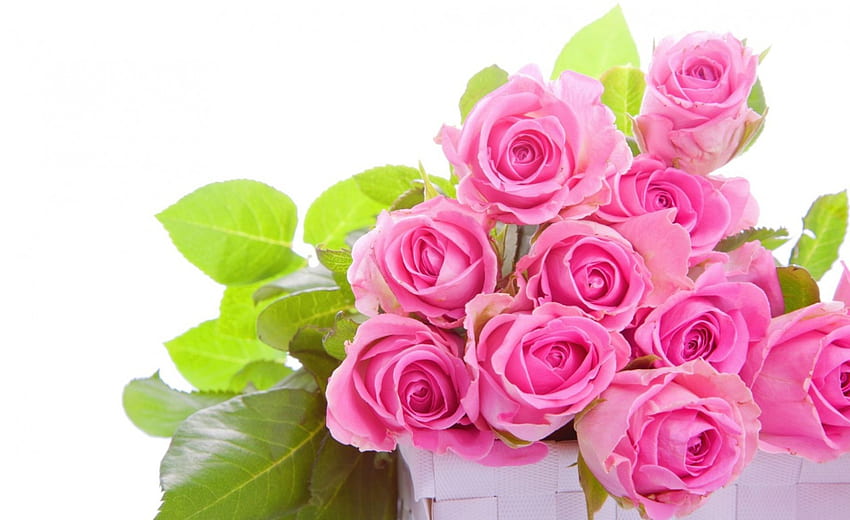 * Mawar merah muda *, merah muda, buket, mawar, mawar merah muda, bunga Wallpaper HD