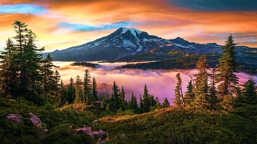 Mountain Veil, Mount Rainier, WA, หมอก, เมฆ, ต้นไม้, สี, ท้องฟ้า, ทะเลสาบ, พระอาทิตย์ขึ้น, สหรัฐอเมริกา วอลล์เปเปอร์ HD