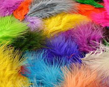 Colorful feathers, blue, colorful, fluffy, orange, purple, feather ...