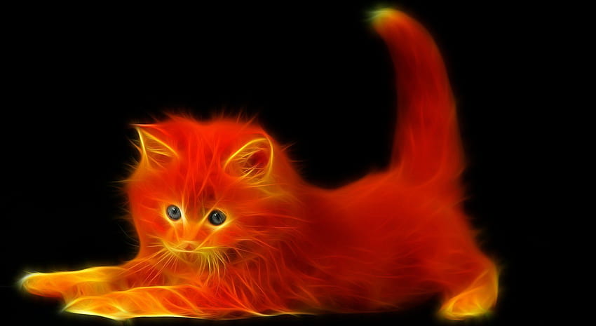 Feuerkatze!!!!!. Ungewöhnliche Tiere, Katzen, Cat HD-Hintergrundbild