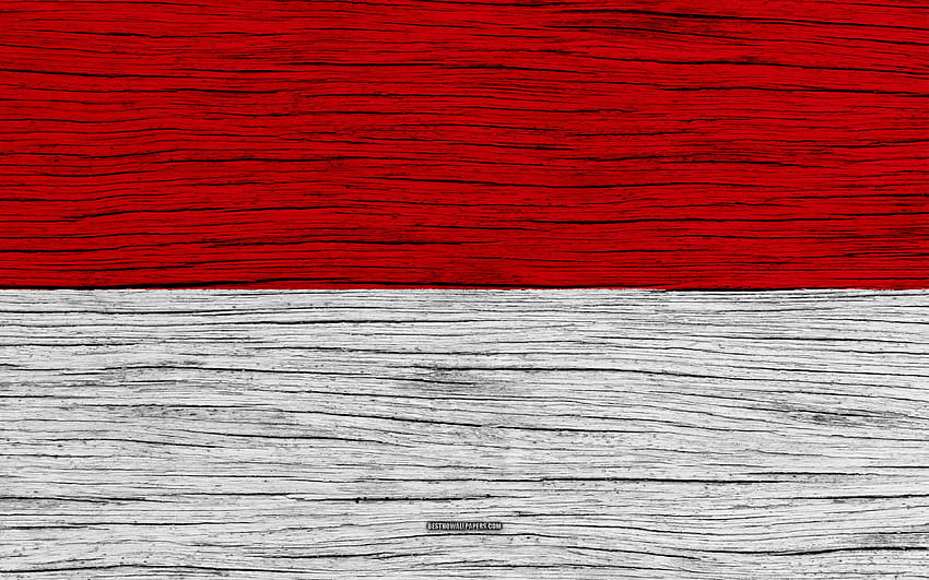 Flag of Indonesia Asia wooden texture [] for your , Mobile & Tablet. Explore Indonesia Flag . Indonesia Flag , Peta Indonesia, Flag Background HD wallpaper