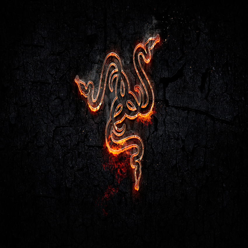 Razer Fire Background, Orange Razer HD phone wallpaper | Pxfuel