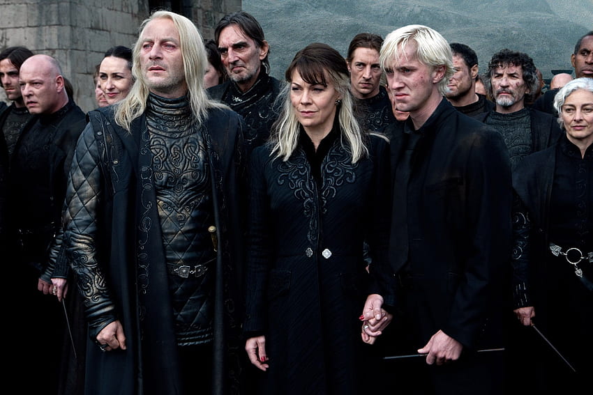 Harry Potter Karakteri Lucius Malfoy, Yeni Yaban Arısı Türünün Adına İlham Verdi. genç moda HD duvar kağıdı