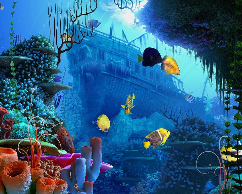 Coral Reef 3D Screensaver Screenshots. Coral reef, Ocean , Underwater ...