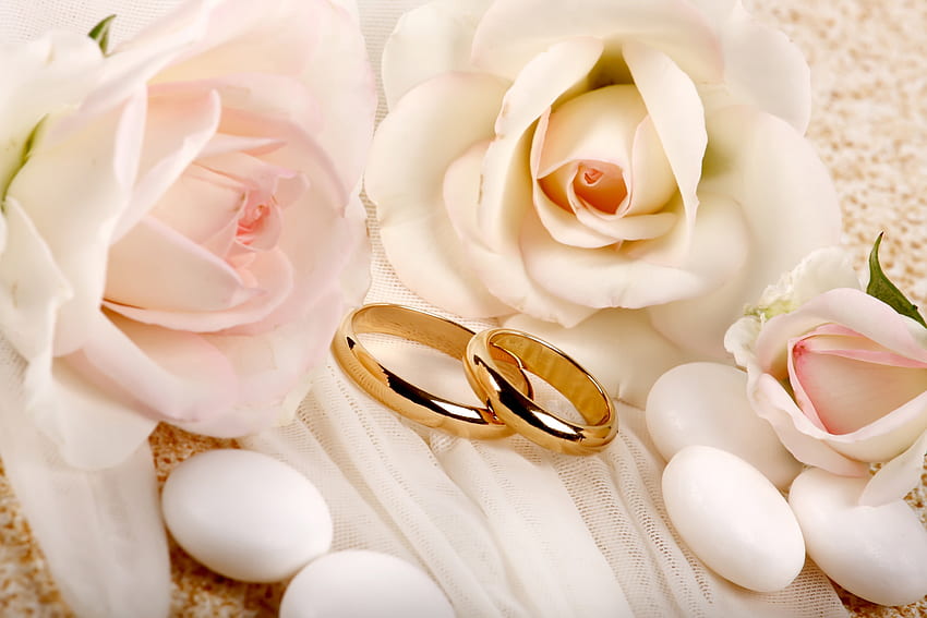 With Love, ring, graphy, beauty, rose, rings, sweet, roses, romance, beautiful, wedding, pretty, love, nature, romantic, flowers, lovely, for you HD wallpaper
