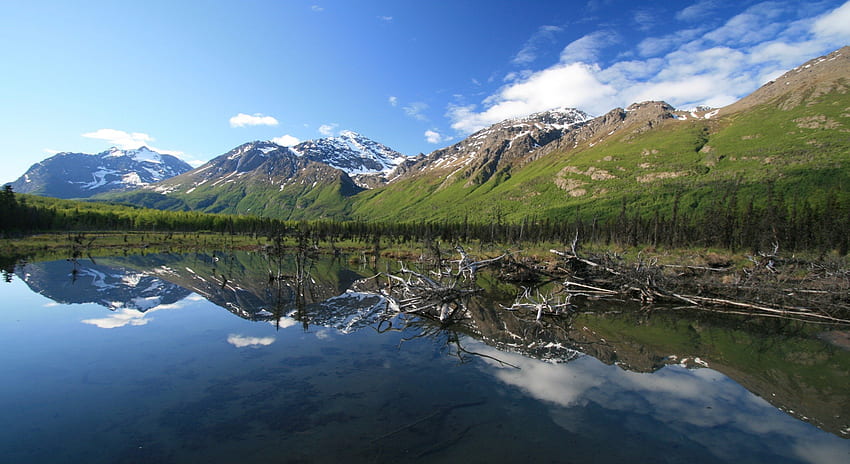 Jezioro na Alasce, niebieski, Alaska, góra, jezioro, zieleń, chmury, drzewa, natura, niebo, woda Tapeta HD