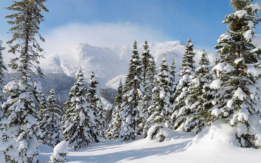 Зимна страна на чудесата в планината, природа, гора, планини, сняг HD тапет