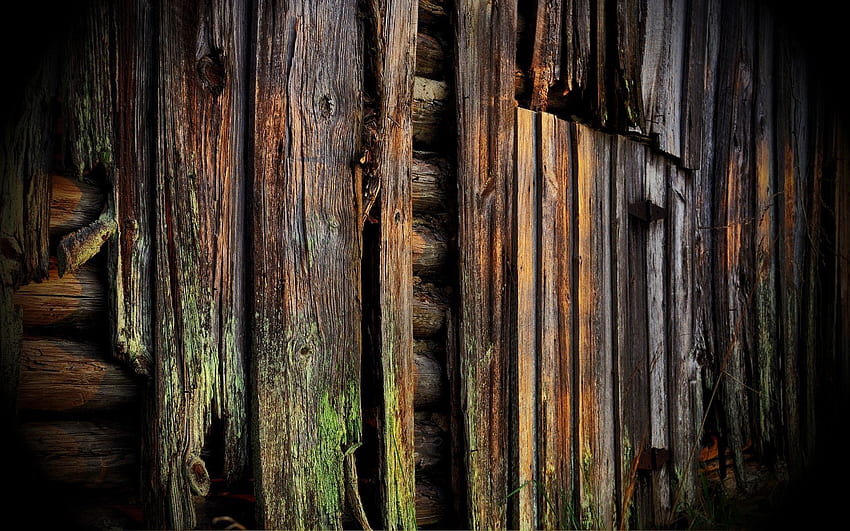 Wood, Wooden, Surface, Wall, Old HD wallpaper