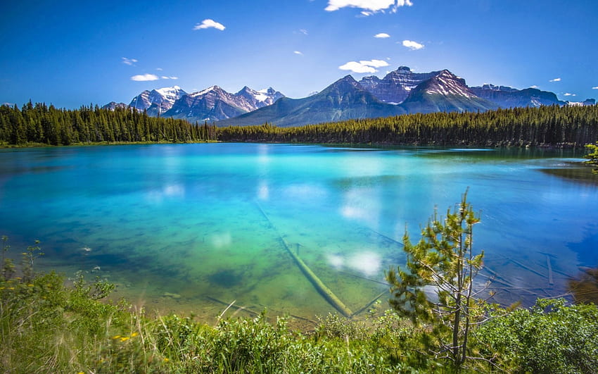 Crystal Emerald Lake, snowy peaks, beautiful landscape, grass, crystalline waters, forest, lake, mountain HD wallpaper