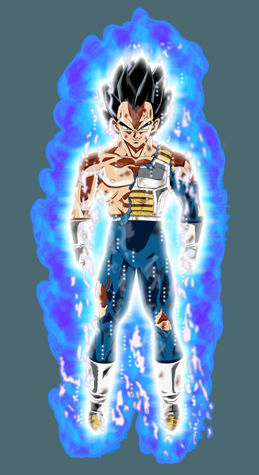 Dragon Ball Z Vegeta vs Numero 18 animated gif