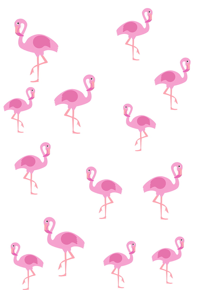Flamingo iPhone . Prints. iPhone , graphy Flamingo HD phone wallpaper