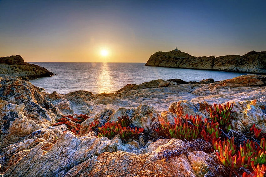 Corsica, Sinar, Laut, Mediterania, Italia, Batuan, Pantai, Refleksi, Alam, Bunga, Langit, Menakjubkan, Air, Matahari, Matahari Terbenam Wallpaper HD